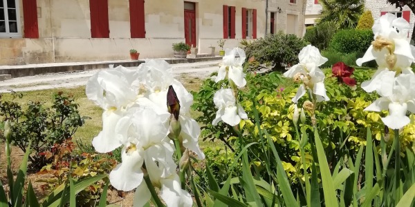 Découvrez la Charente Maritime et séjournez au Domaine des Tonneaux